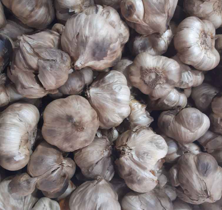 تصویر 2 از سیر سیاه همدان با کیفیت یکنواخت و بسته بندی استاندارد